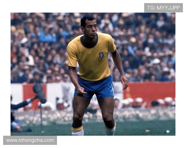 巴西足球明星龅牙仔的传奇故事与辉煌成就解析